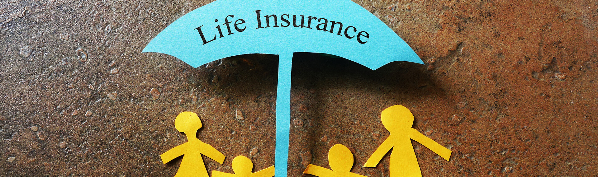 Springfield Insurance Company, Life Insurance and Car Insurance Company